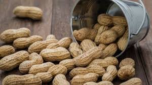 We did not find results for: 4 Jenis Camilan Kacang Tradisional Khas Indonesia Ada Ampyang Hingga Halua Halaman All Tribun Travel