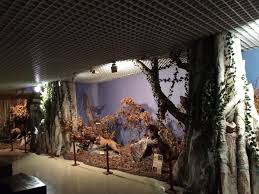 Asociația eco delta dunării este formată din actori de pe plan local, din deltă, relevanți pentru turismul durabil, făcut cu grijă față de. ViziteazÄƒ Centrul Muzeal Ecoturistic Delta DunÄƒrii Booktes