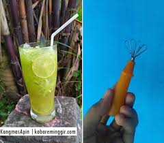 Rasanya yang enak dan segar membuat banyak orang menyukainya. Resep Buka Puasa Es Serut Timun Jeruk Nipis