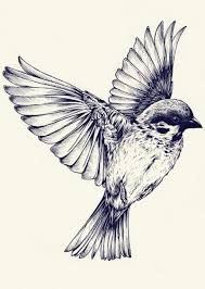 Bird Flying Art Sketch Tattoo Bird Art Eskiz Pticy Tatuirovka Ptica Risunki Zhivotnyh