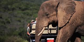 What you need in a work. Apprentice Field Guide Course In South Africa Natucate