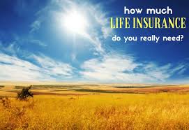 Buying life insurance costs a lot more as you age. How Much Life Insurance Do You Need Fivecentnickel Com