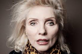 Céline Dion: Hier stoppt sie den Verkehr für einen Fan