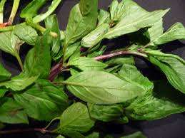 They help in reducing the pain caused by measles, chicken pox, and small pox. Thai Food In The Dark Nourish2flourish