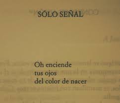 Poesía sensual, perdurable y romántica. Alejandrapizarnik World Alejandra Pizarnik Solo Senal 1962 1972 Poemas