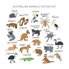 Kids Minimal Animals Australia Australia Animals Australian Animals Cute Australian Animals
