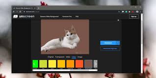 You can also change the color matching threshold value and make multiple color shades and tones transparent. How To Remove The Background From A Gif Laptrinhx