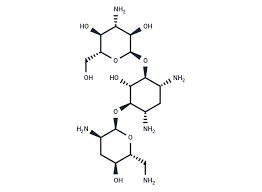 Image result for Tobramycin