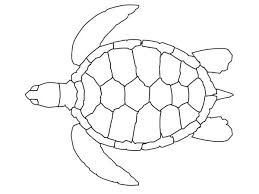 These will be a great exercise in being independent for them, and they will love it. Sea Turtle Coloring Pages Sea Turtle Sea Turtle Pattern Free Coloring Page Turtle Coloring Pages Turtle Coloring Page Sea Turtle Quilts