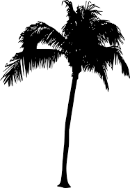 You may also like palm tree home or leaf of palm tree clipart! 20 Palm Tree Silhouette Png Transparent Vol 2 Onlygfx Com