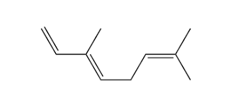 Image result for Lippia somalensis