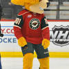 The team's name is the wild, so the mascot should be a wild, angry mongrel. Https Encrypted Tbn0 Gstatic Com Images Q Tbn And9gcqtqgeryqdgx3th3flbmu5fcgagfqtb8ogojbf5bs2 R7aeaaty Usqp Cau
