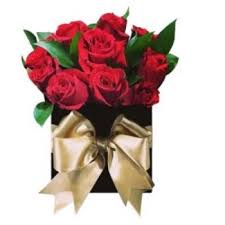 Canadians love their flowers, so it's only right that they carry some of the world's freshest blooms. Flower Delivery Berlin Online Florist Berlin