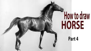 How To Draw A Horse Part 4 Drawinghorse Tutorialdrawing Fastdrawing Youtube