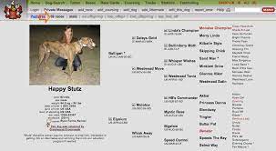 Greyhound Crossroads - Finding Information On Your Greyhound Online