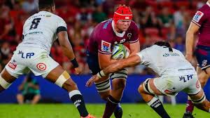 Sean maloney and beth newman are joined by queensland reds young gun harry wilson. Code Hopping Reds Youngster Harry Wilson Set To Push For Maiden Wallabies Call Up