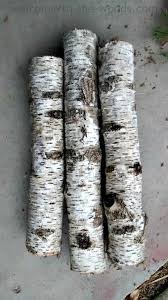 Birch Tree Bark And Stone Coupon Birch Tree Christmas Diy Decor Christmas Decor Diy Birch Tree Birch Centerpieces