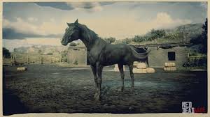 Maybe you would like to learn more about one of these? Black Arabian Horse Rdr2 Red Dead Online Horses Database Stats Locations
