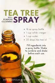 5 Best Essential Oils For Cleaning And Recipes That Use Them Essential Oils Cleaning Essential Oil Cleaner Essential Oil Recipes
