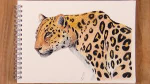 how to draw a wooden tiger sketch realistic drawing easy and fast animal drawings tiger sketch realistic drawings