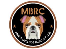 Bulldogs end up in a rescue organization for a number of reasons and many are not the dog's fault. Mini S Bulldog Rescue Club Petrescue