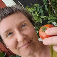 Sortguide: Tidiga, produktiva tomater (som tål väderväxlingar hyfsat bra)