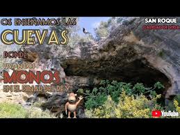 Mostrando las CUEVAS donde vivían los MONOS en el Pinar del Rey #SanRoque  #fósiles