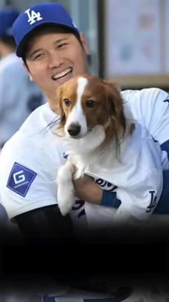 Shohei Ohtani’s Daughter and Family Dog Melt Hearts Online — Fans Declare Them the Cutest “Brother and Sister” Duo, While the world knows Shohei Ohtani for his towering home runs, blazing fastballs, ...