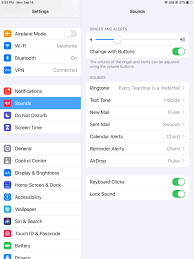 Turn off volume of ringer and alerts via the volume down button. Turn Off Facetime Ringtone On Ipad Apple Community
