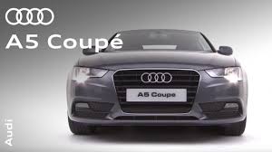 Image result for Teak Brown 2015 A5