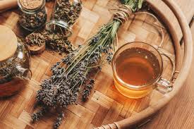 Chá de orégano: para que serve essa bebida amiga da mulher - Minha Vida