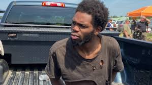 Tyler's production credits include madison cunningham, sara bareilles, apple tvs little voice. Dt4esxbh5fqyum