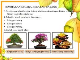 Pernahkah anda mengalikan suatu bilangan? Cara Mengakarkan Dahan Pokok Melalui Keratan Batang Guna Cecair Penggalak Akar Sentiasa Panas