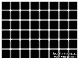 صور تلحس المخ