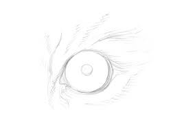 Here you can explore hq eye drawing transparent illustrations, icons and clipart with filter setting polish your personal project or design with these eye drawing transparent png images, make it. How To Draw Animal Eyes With Pen And Ink