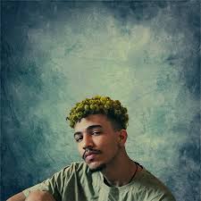 Image result for Dewildemania