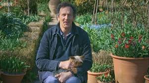 Patti The New Dog On Gardeners World 2020 Monty Don World World 2020