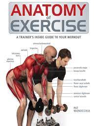 By clicking submit below, you consent to allow visible body to store and process the personal information submitted above to provide you the content requested. Anatomy Of Exercise A Trainer S Inside Guide To Your Workout Manocchia Pat 8601400631744 Amazon Com Books