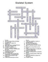 Skeletal system review crossword puzzle answers. 9 Education Ideas Skeletal System Skeletal System Activities Skeletal