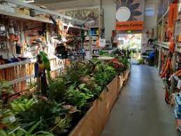 garden centre supplies mitre 10 whakatane