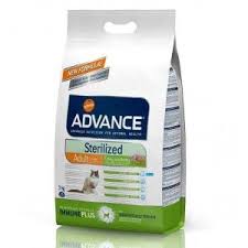 yetiskin kedi mamasi panosundaki pin