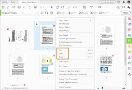 Pages is the apple version of microsoft word. Rotate Move Delete And Renumber Pdf Pages In Adobe Acrobat