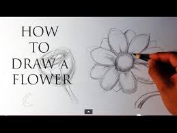Learning how to draw good flowers should not be difficult. How To Draw A Flower Easy Drawings Youtube