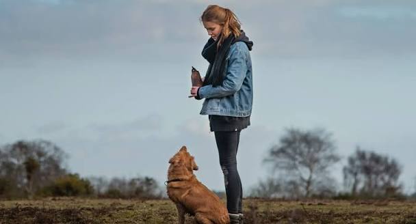 10 Situations That Require Emergency Veterinary Care | Florida Veterinary  Referral Center (FVRC)