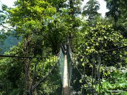 Category:national parks of malaysia (en); Guide To Amazing National Parks In Malaysia And Its Top Attractions