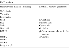 Cancer and scorpio have many resources, serious and deep, but mostly they are known for their magnetic and attractive character. The Epithelial Mesenchymal Transition Inducing Factor Twist Is An Attractive Target In Advanced And Or Metastatic Bladder And Prostate Cancers Semantic Scholar