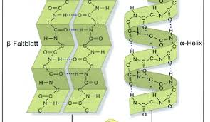 7 Stoffklassen der Bio-Chemie