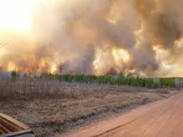 Now people across the country are seeing how bad as the smoke from the fires has spread to the east coast. Why Doesn T Wisconsin See Large Intense Wildfires Like Out West Wisconsin Public Radio