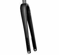 AR Disc Fork