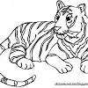 Here on free pngs you can browse and download 170,000+ free transparent png images straight to view and download 'for free' cossyimages premium png collection today. 1